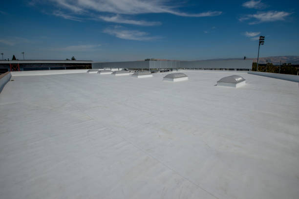 Best Cold Roofs  in Clever, MO