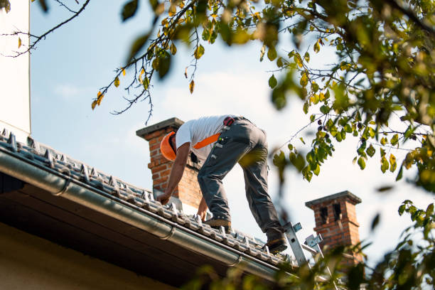 Best Solar Panel Roofing Installation  in Clever, MO