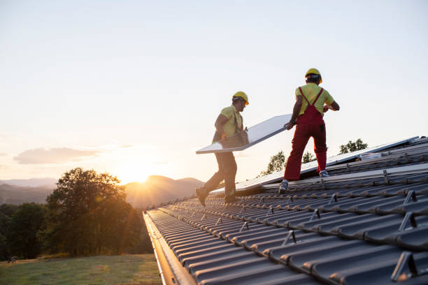 Best Roof Moss and Algae Removal  in Clever, MO