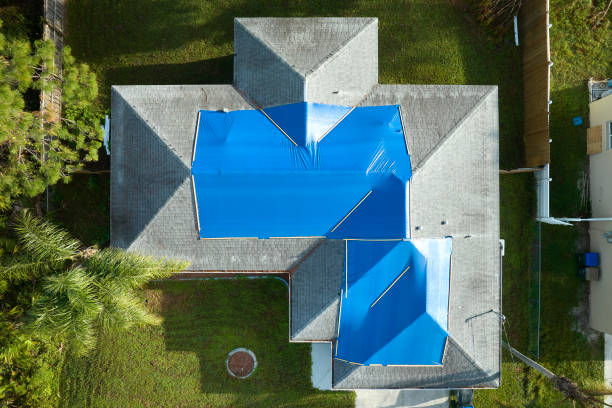 Best Asphalt Shingle Roofing  in Clever, MO