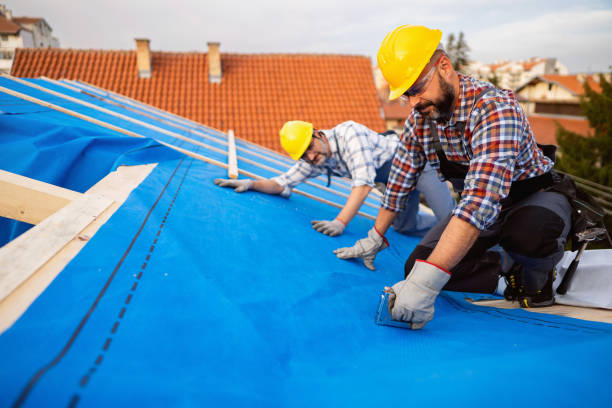 Best Sheet Metal Roofing  in Clever, MO